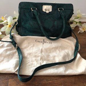 COLE HAAN | Snakeskin Teal Shoulder Bag